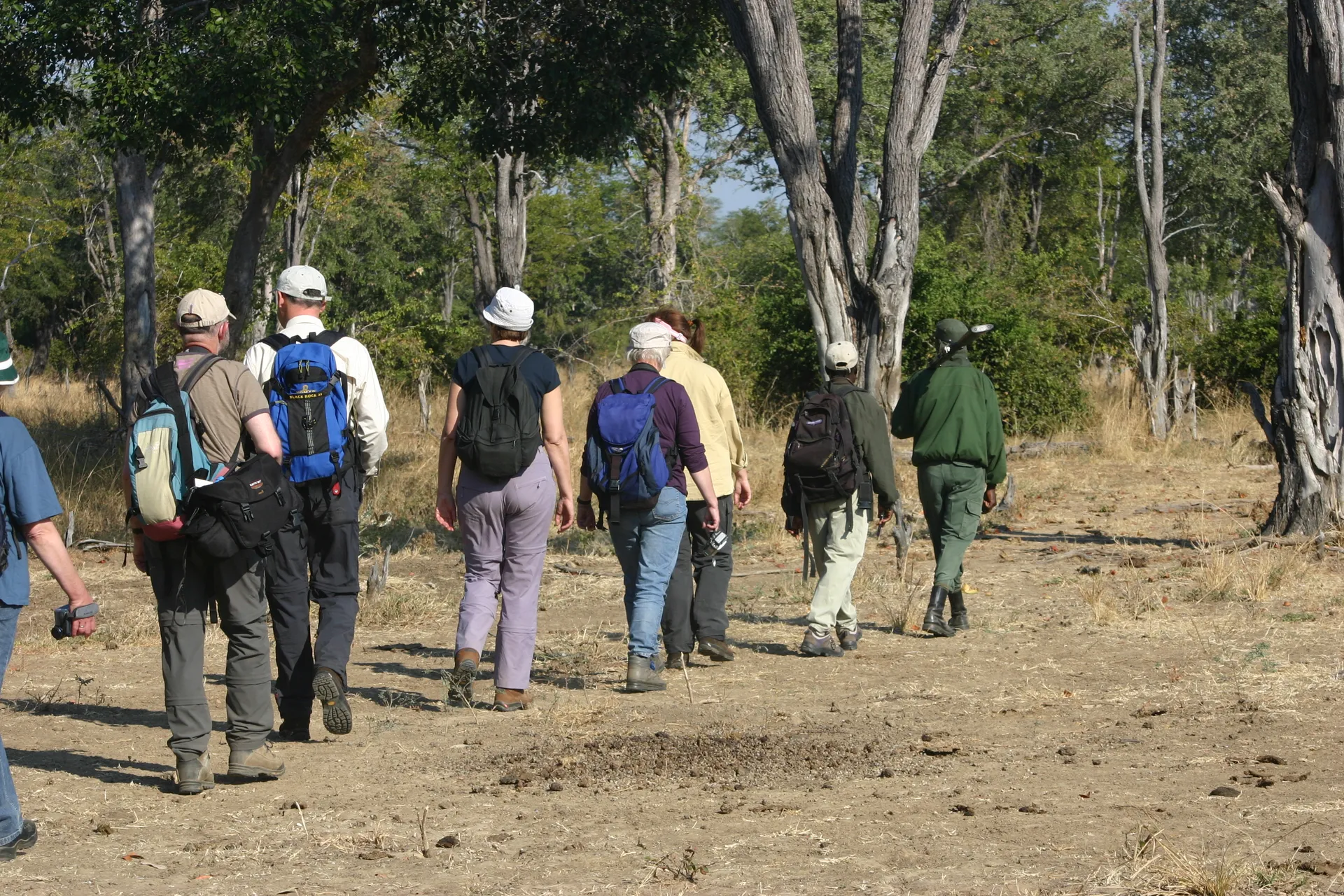 Natuur onderweg: wandelsafari [South Luangwa]