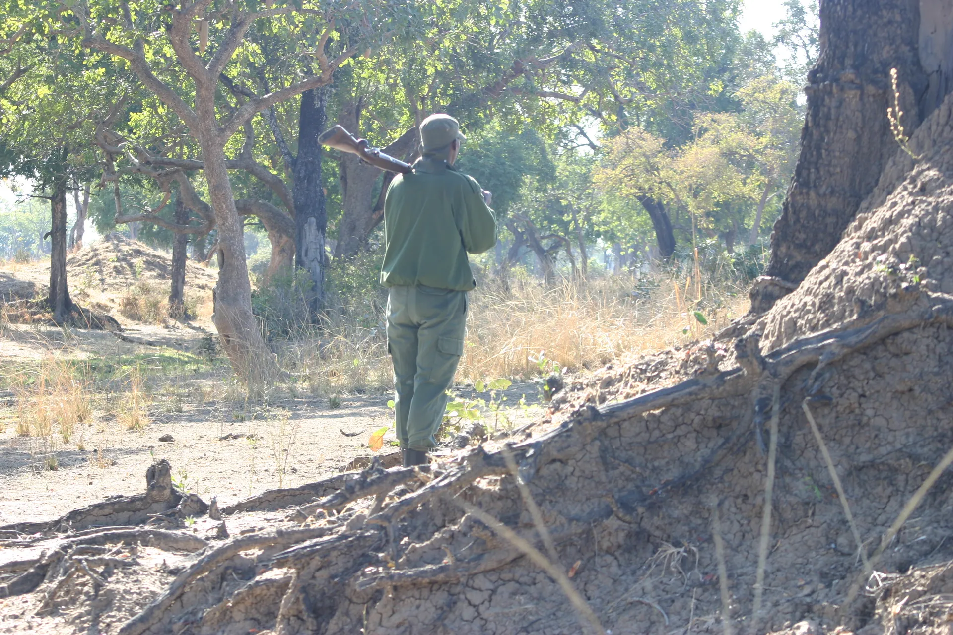 Een parkwachter met geweer waarborgt de veiligheid bij de wandelsafari [South Luangwa]