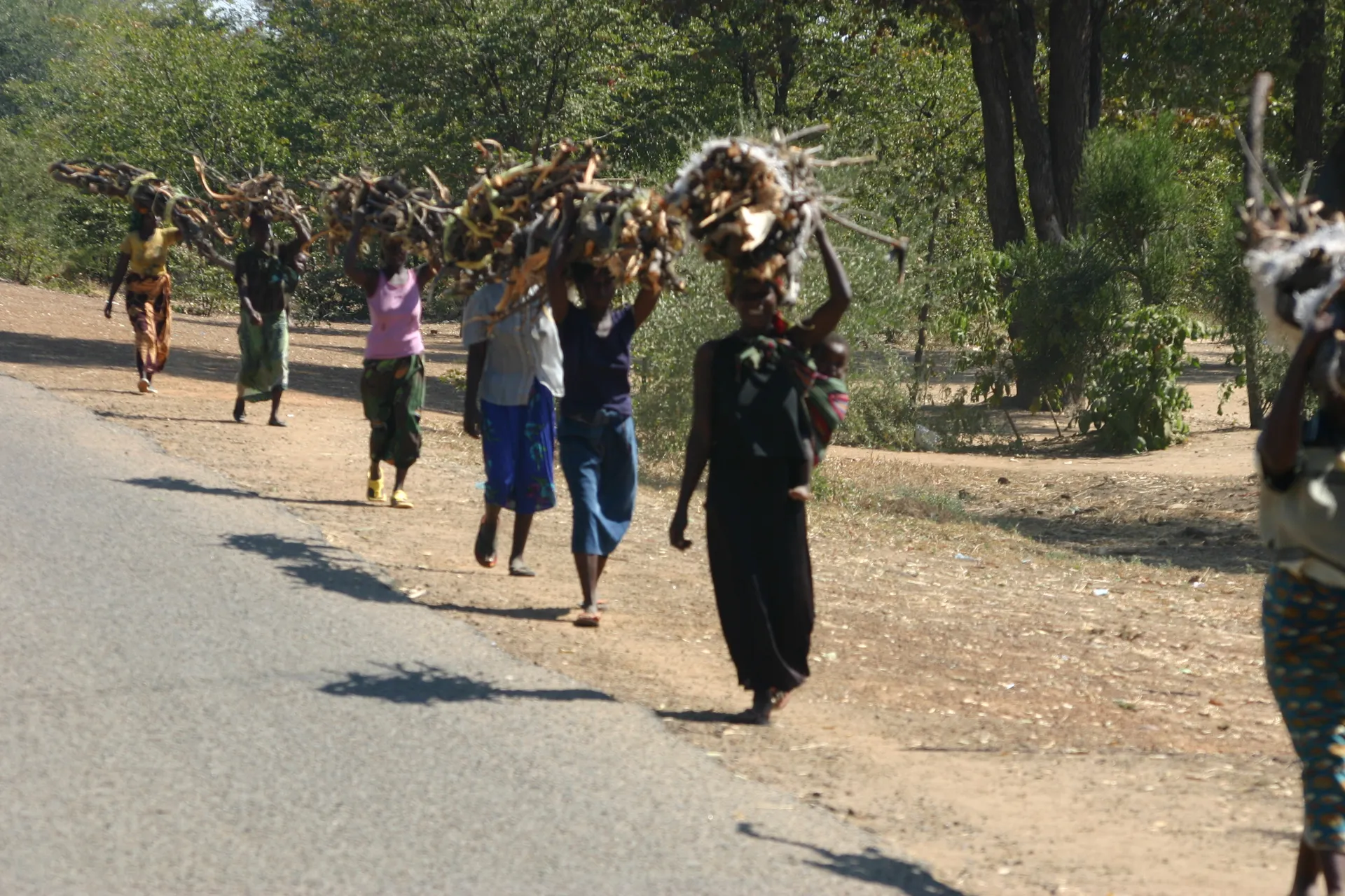 Vrouwen met brandhout [nabij South Luangwa]