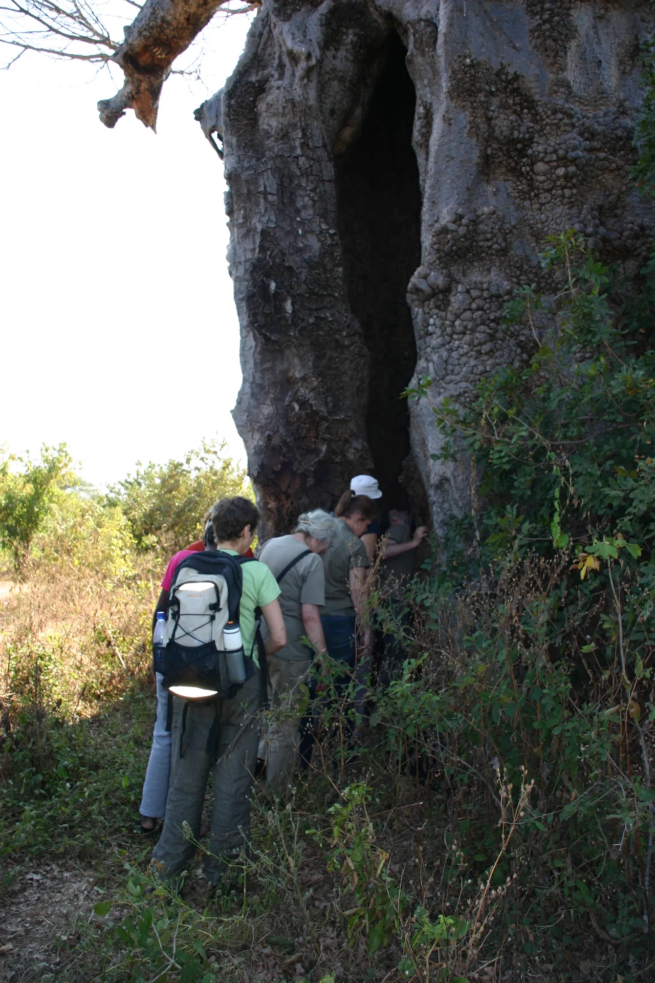 De baobab is hol van binnen en bevat sporen van menselijke resten [nabij Katondwe]