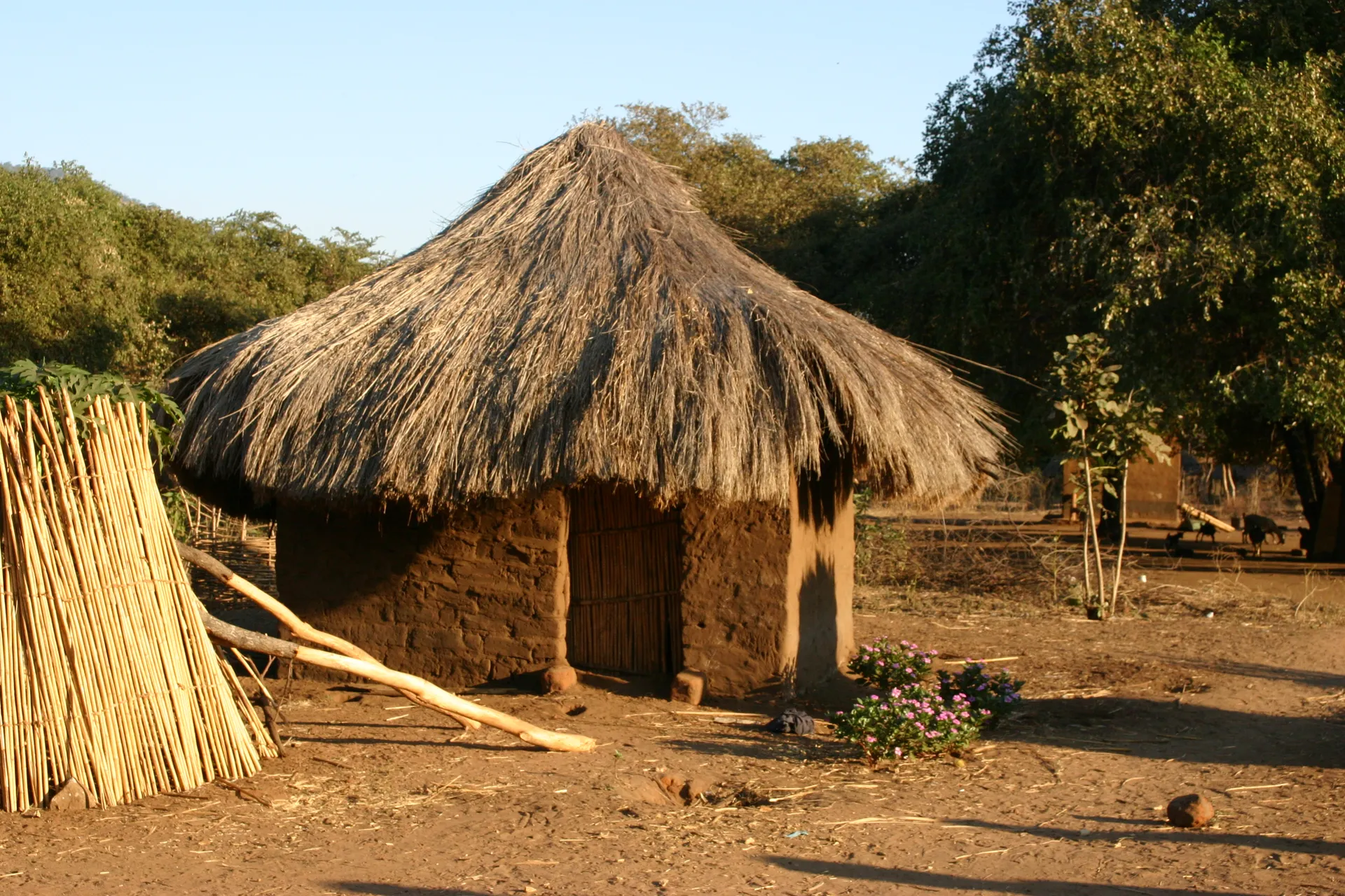 Hut met traditionele rieten dakbedekking [Kavalamanja]
