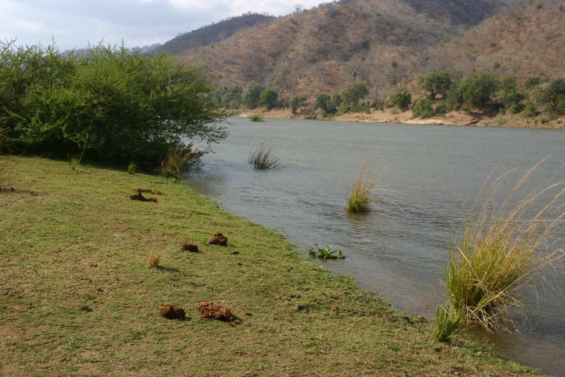 De mest langs de oever laat zien dat hier regelmatig olifanten komen drinken bij de rivier [Lower Zambezi]