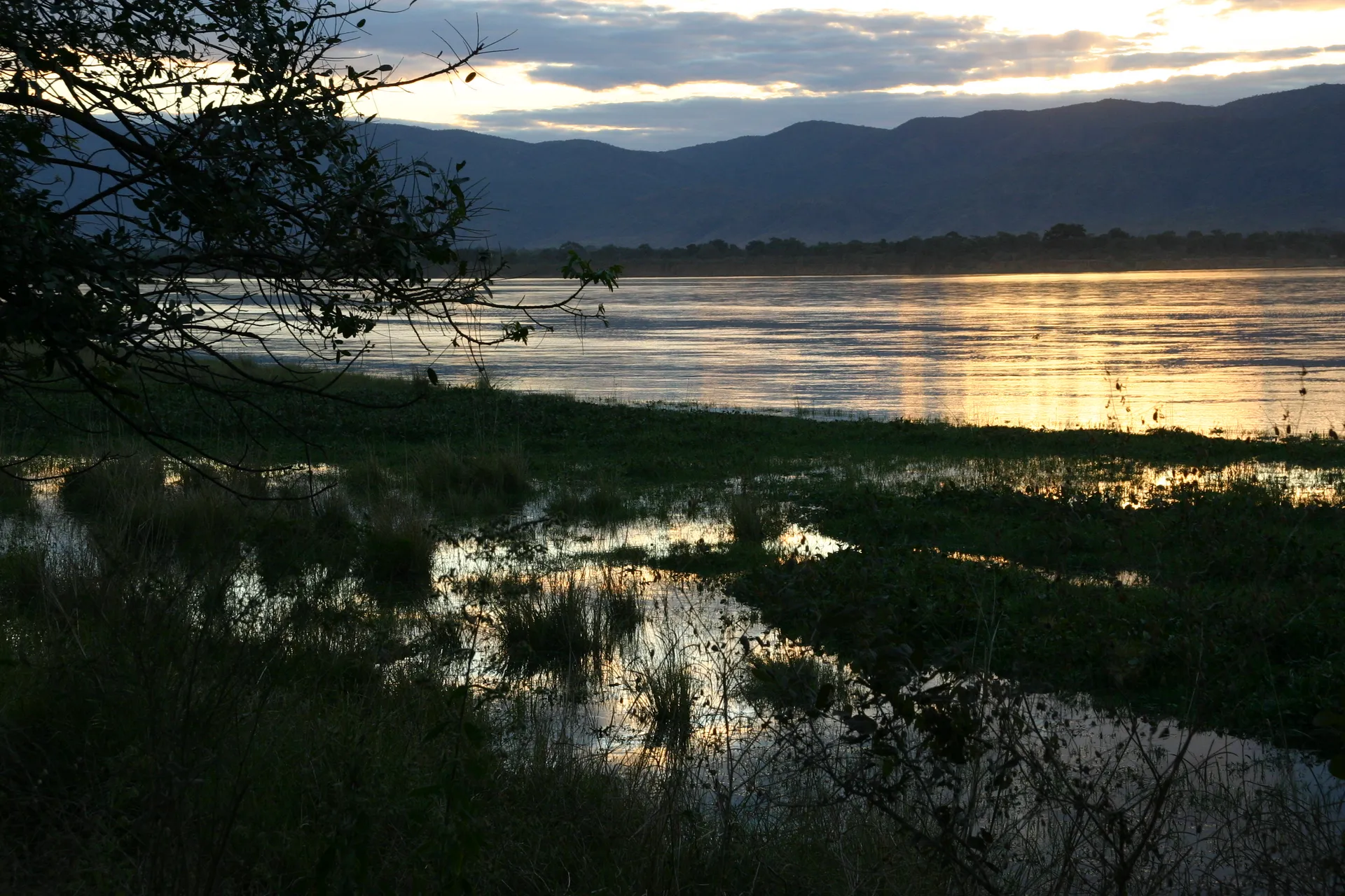 De Zambezi in het laatste daglicht [Mana Pools]