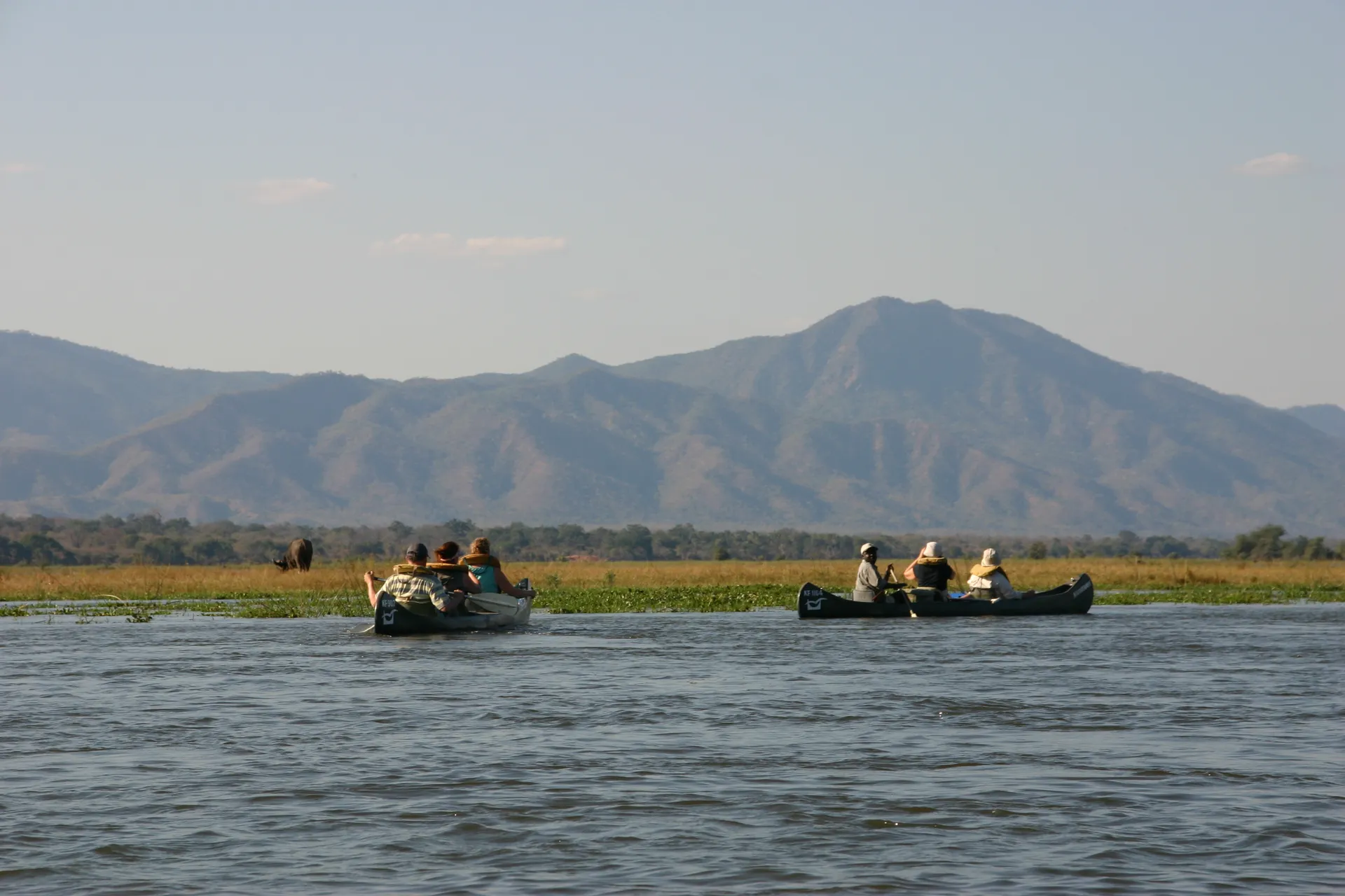 Natuur onderweg: kanotocht over de Zambezi [Mana Pools]