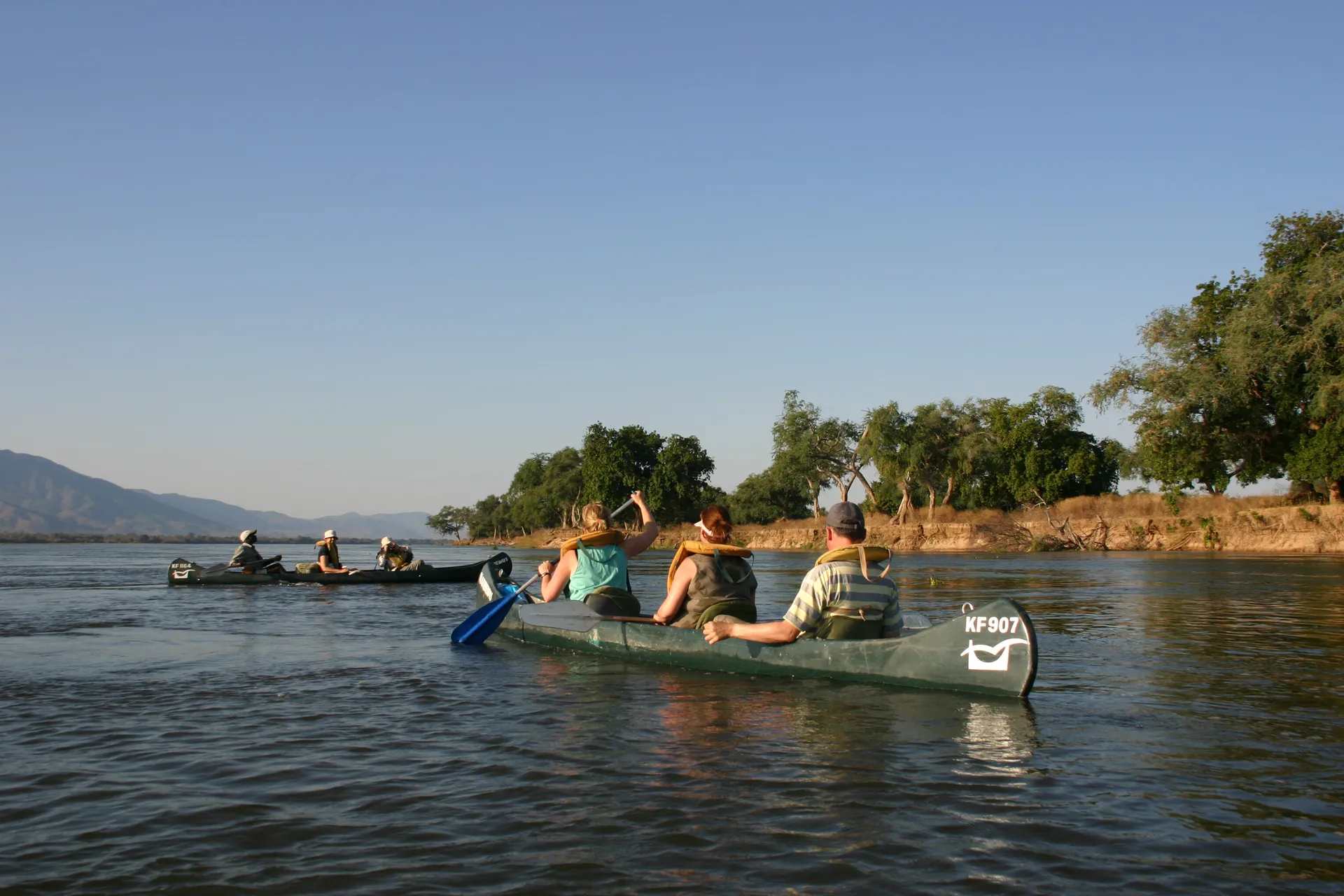 ... en rechts de oever aan de kant van Zimbabwe [Mana Pools]