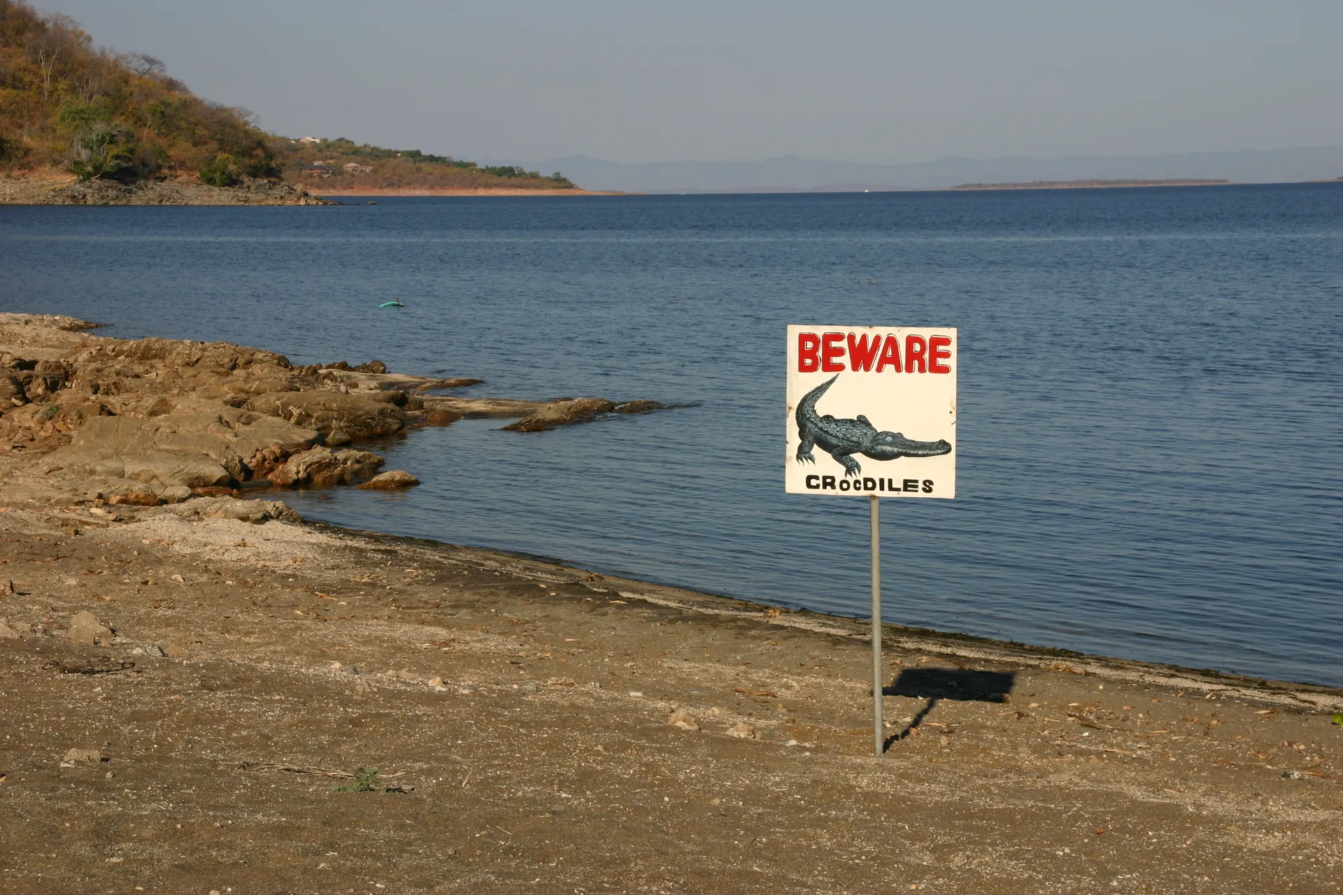 Ook in het Kariba meer komen krokodillen voor