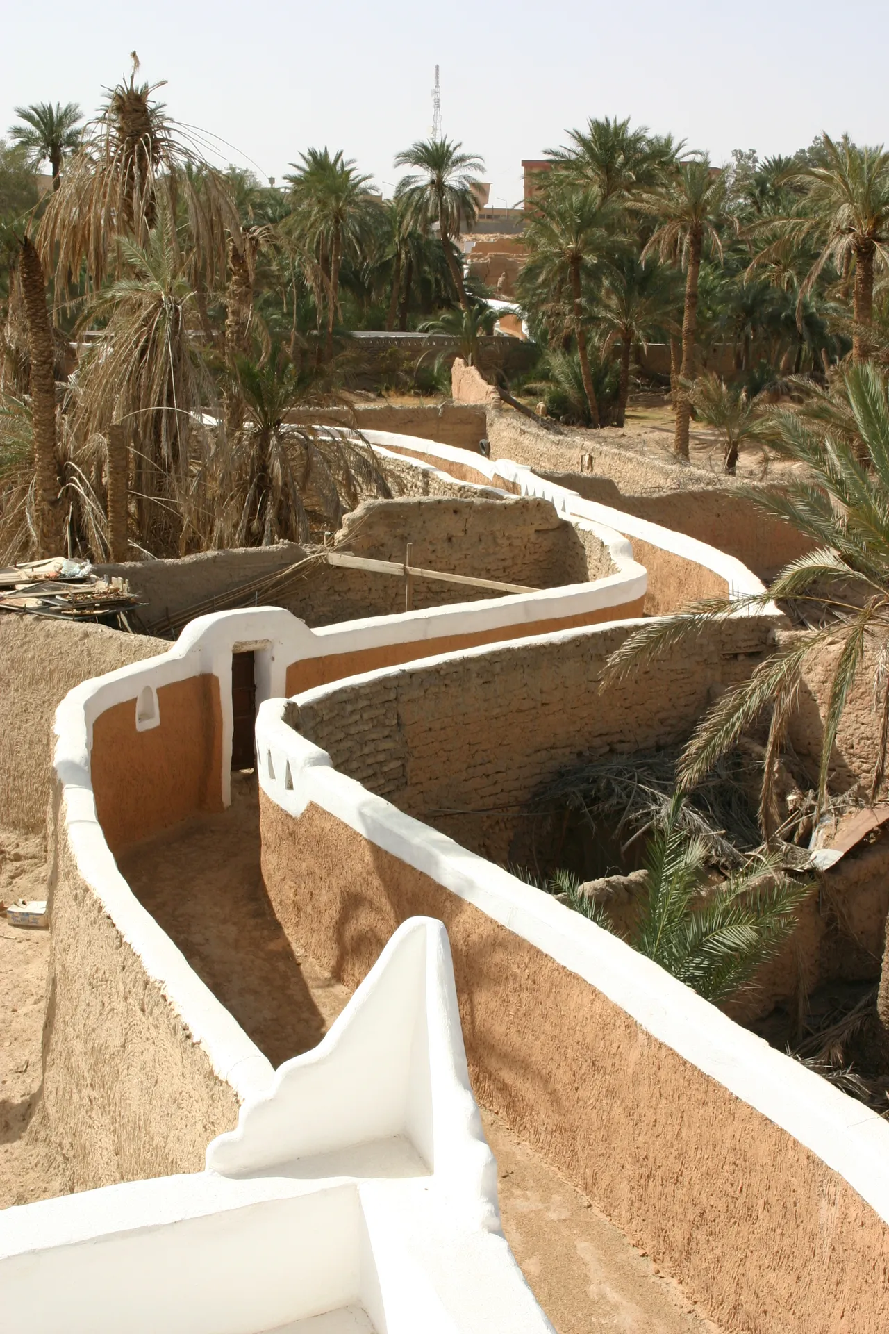 Straatje en binnentuinen met palmbomen [Ghadames, medina]