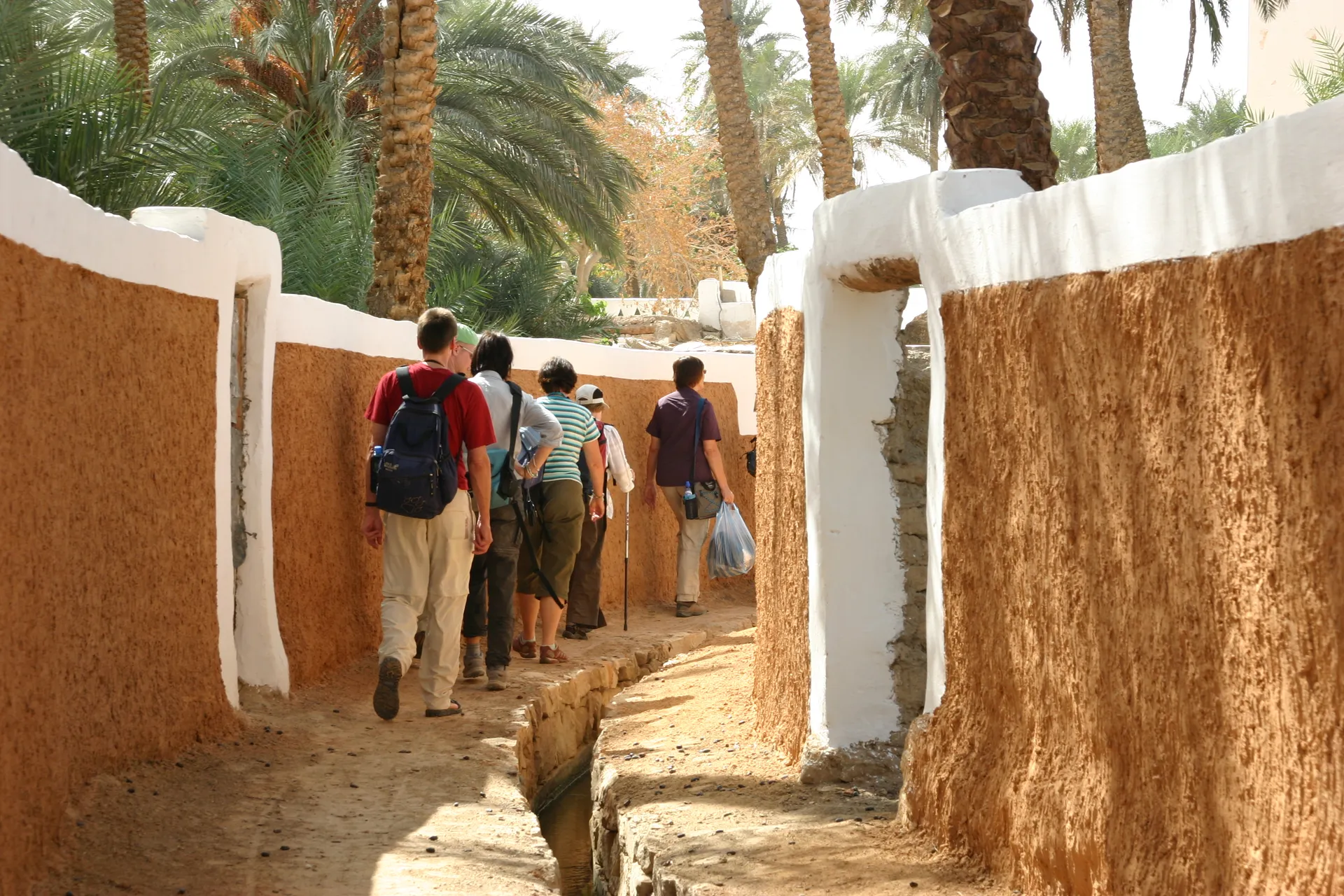 Het irrigatiekanaal volgt het pad tussen de tuinen [Ghadames, medina]