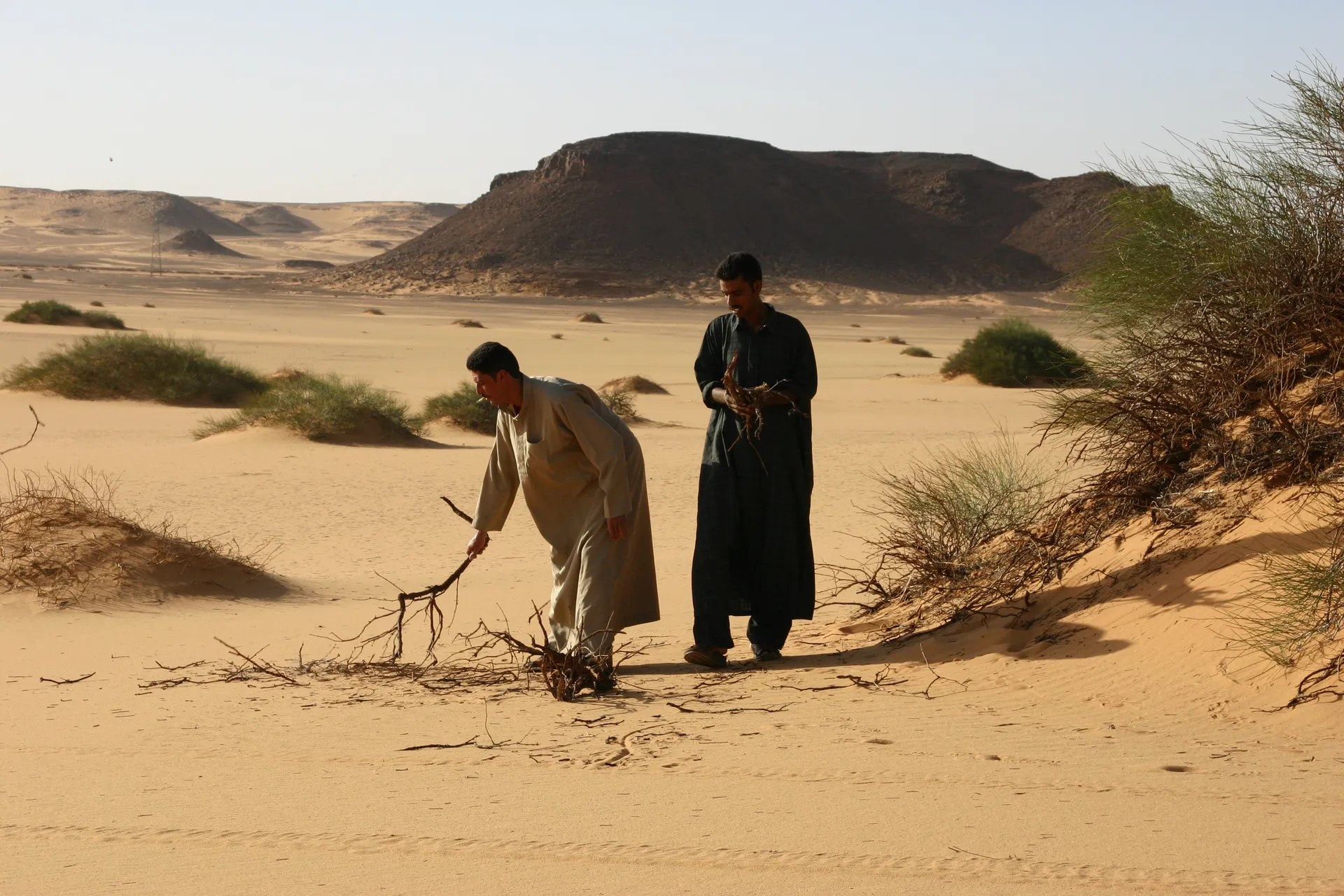 Sprokkelen van brandhout voor het kampvuur [route Sebha-Ghat]