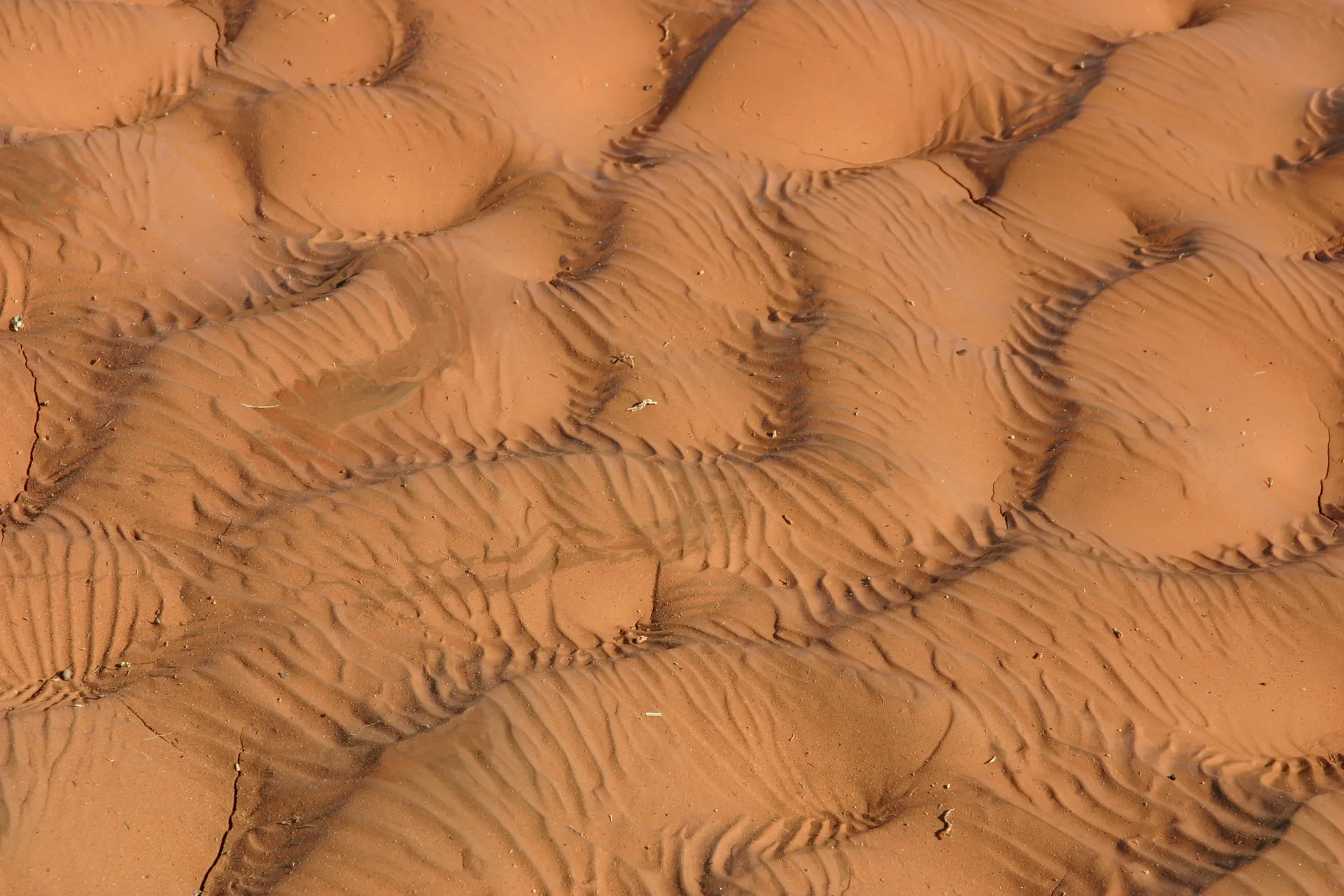 Opgedroogd zand [route Sebha-Ghat]