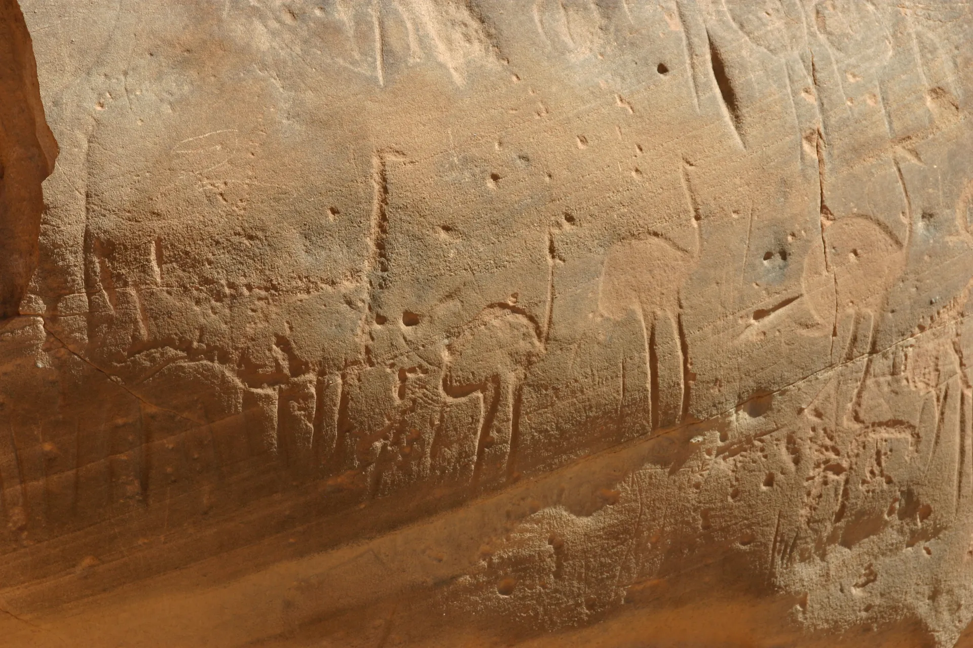 Rotstekeningen van struisvogels [Akakus gebergte]