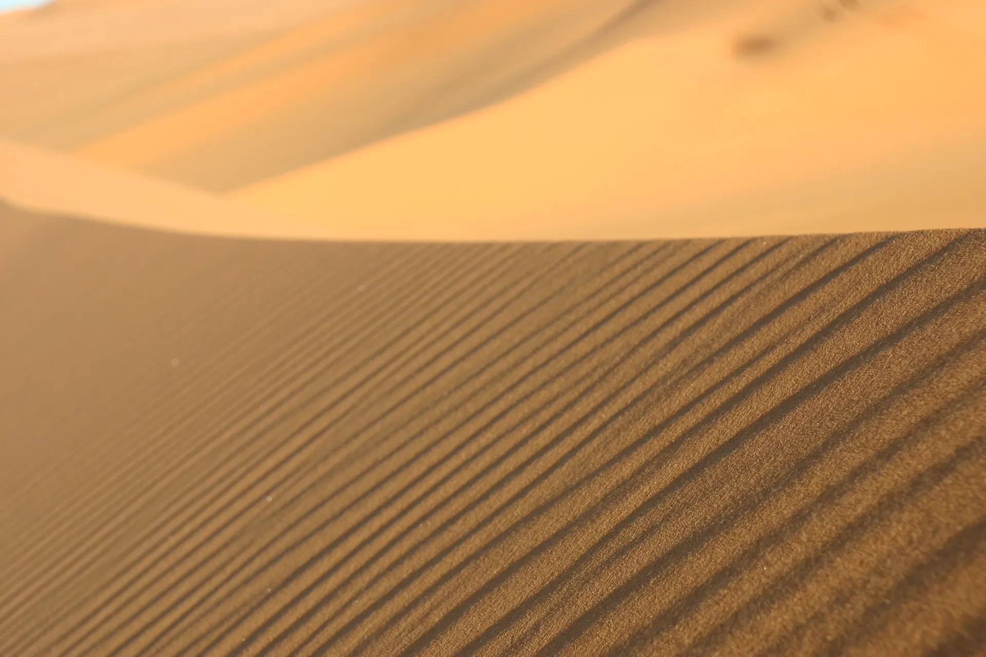 Windribbels in het zand [Ouan Kasa zandzee]