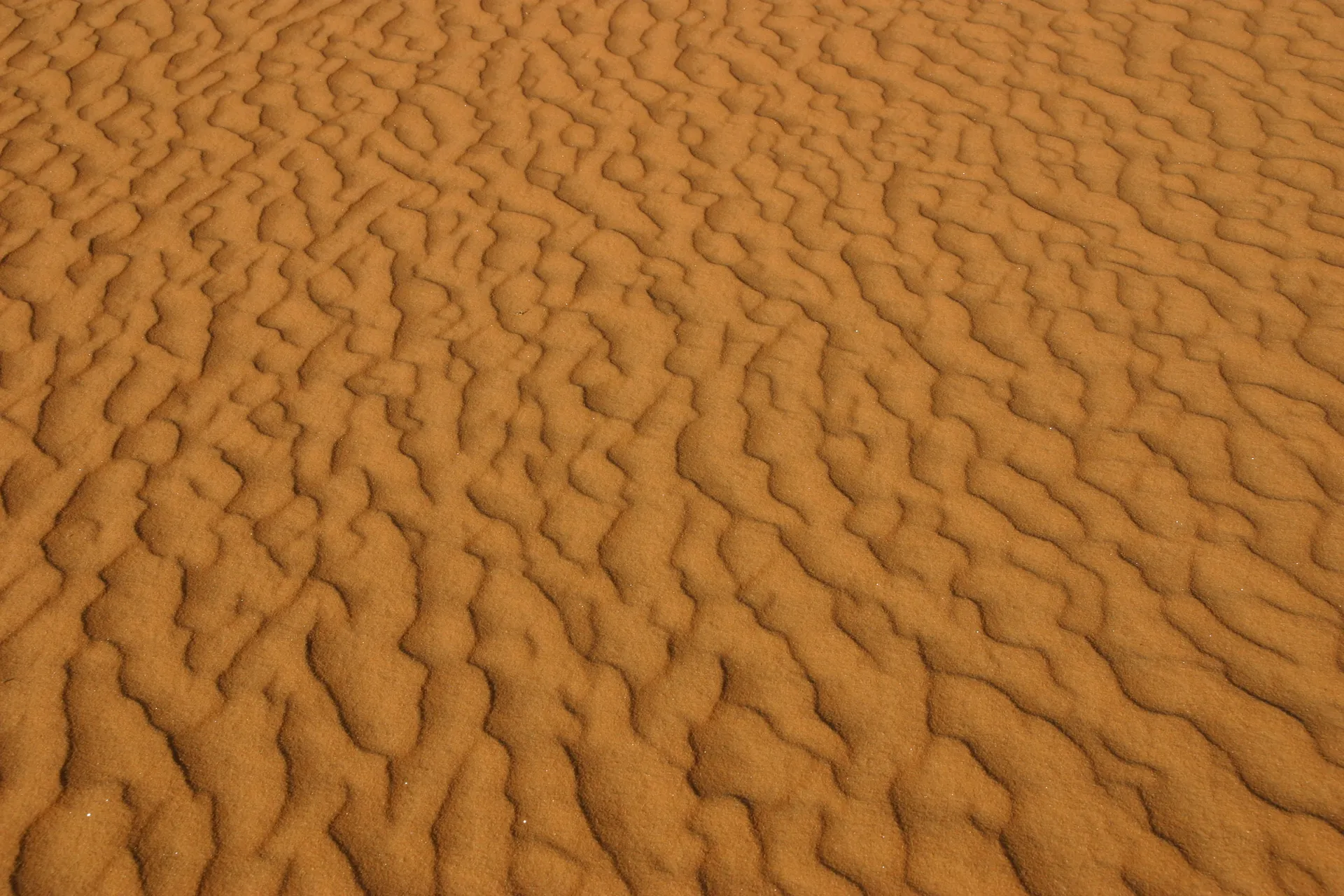 Zandribbels van een ander model [Ouan Kasa zandzee]