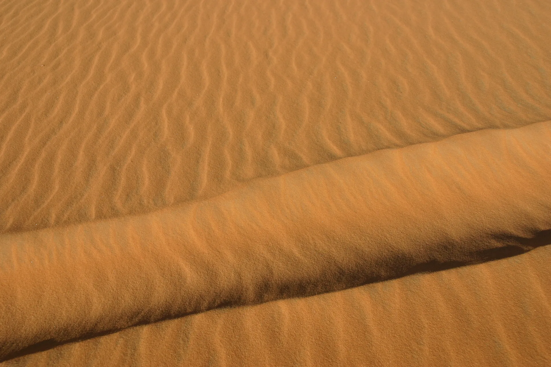 Windribbels in het zand [Ouan Kasa zandzee]
