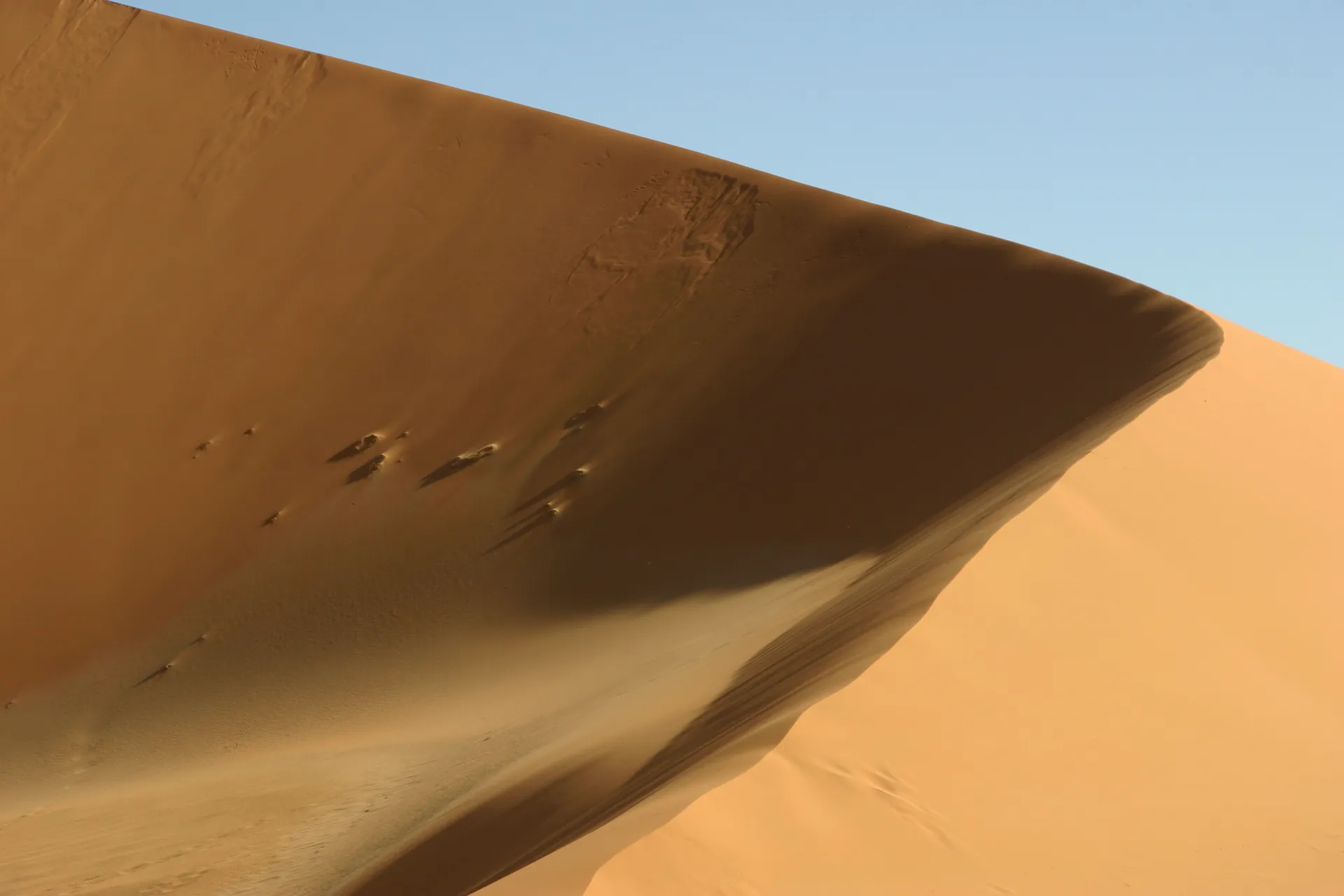 Aan de lijzijde van een duin ontstaat soms wat begroeiing [Ouan Kasa zandzee]