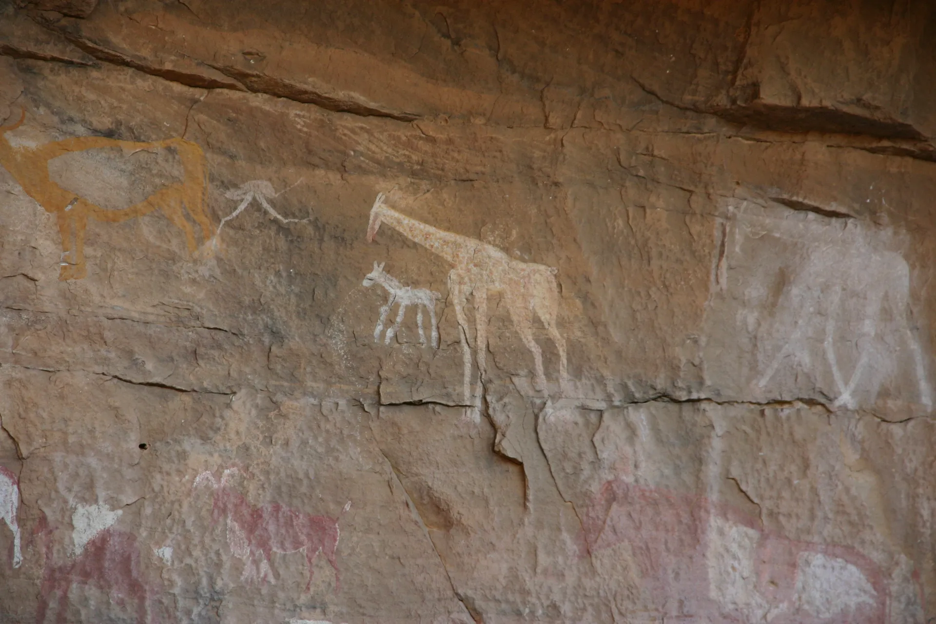 Rotsschildering in de stijl van de zg. pastorale fase, met giraffen en een struisvogel, ca. 5.000 jaar oud [Akakus gebergte]