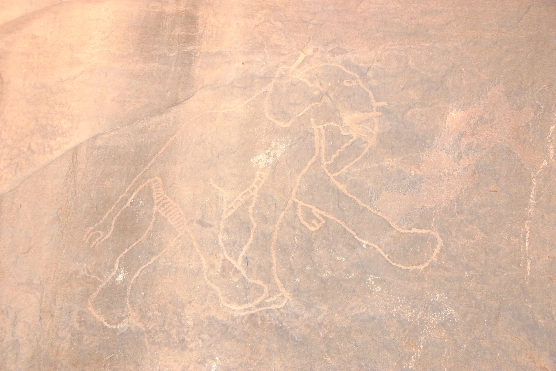 Rotstekening van een olifant [Akakus gebergte, Wadi Teshuinat]