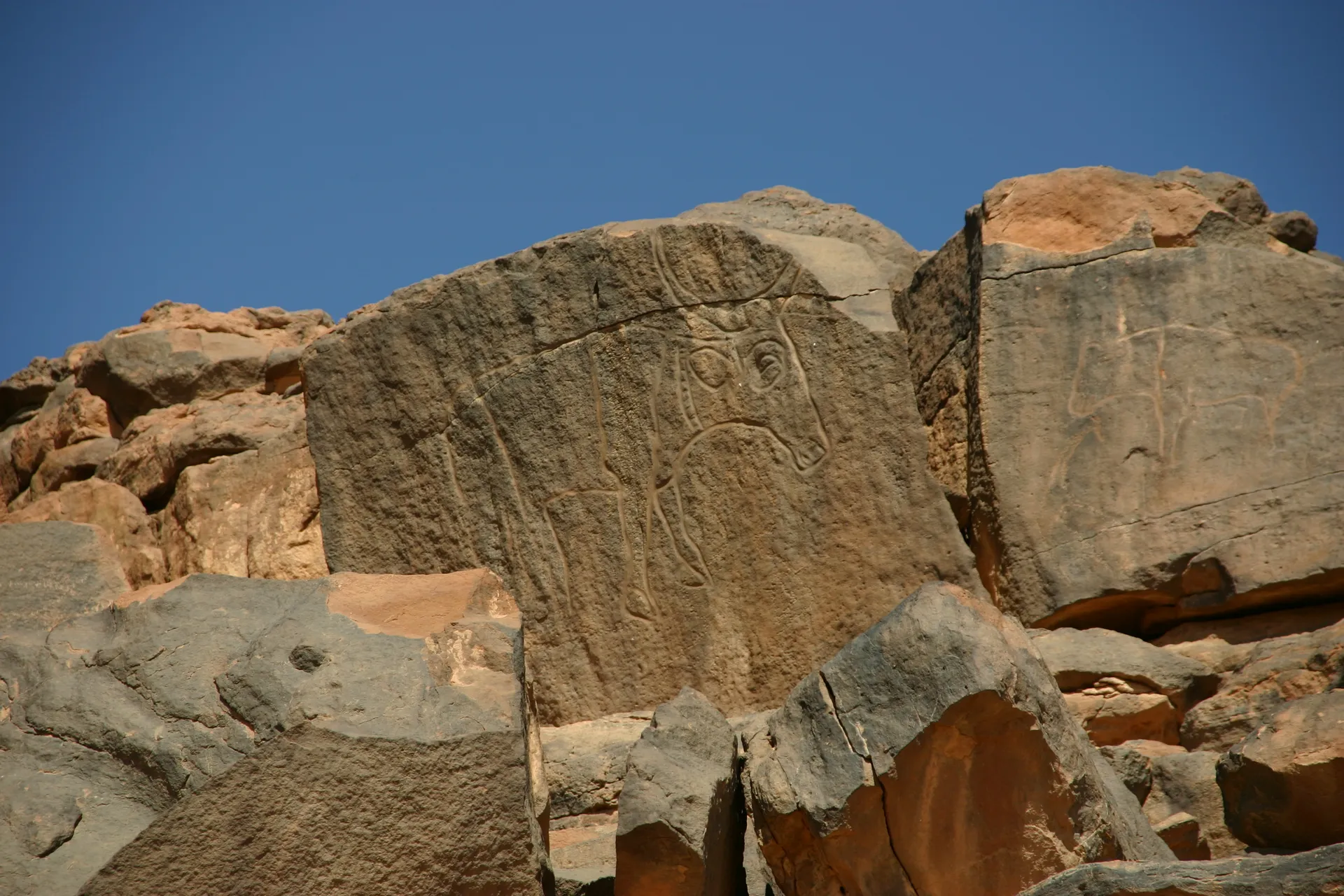 Rotstekening van een prehistorisch rund [Wadi Mathendous]