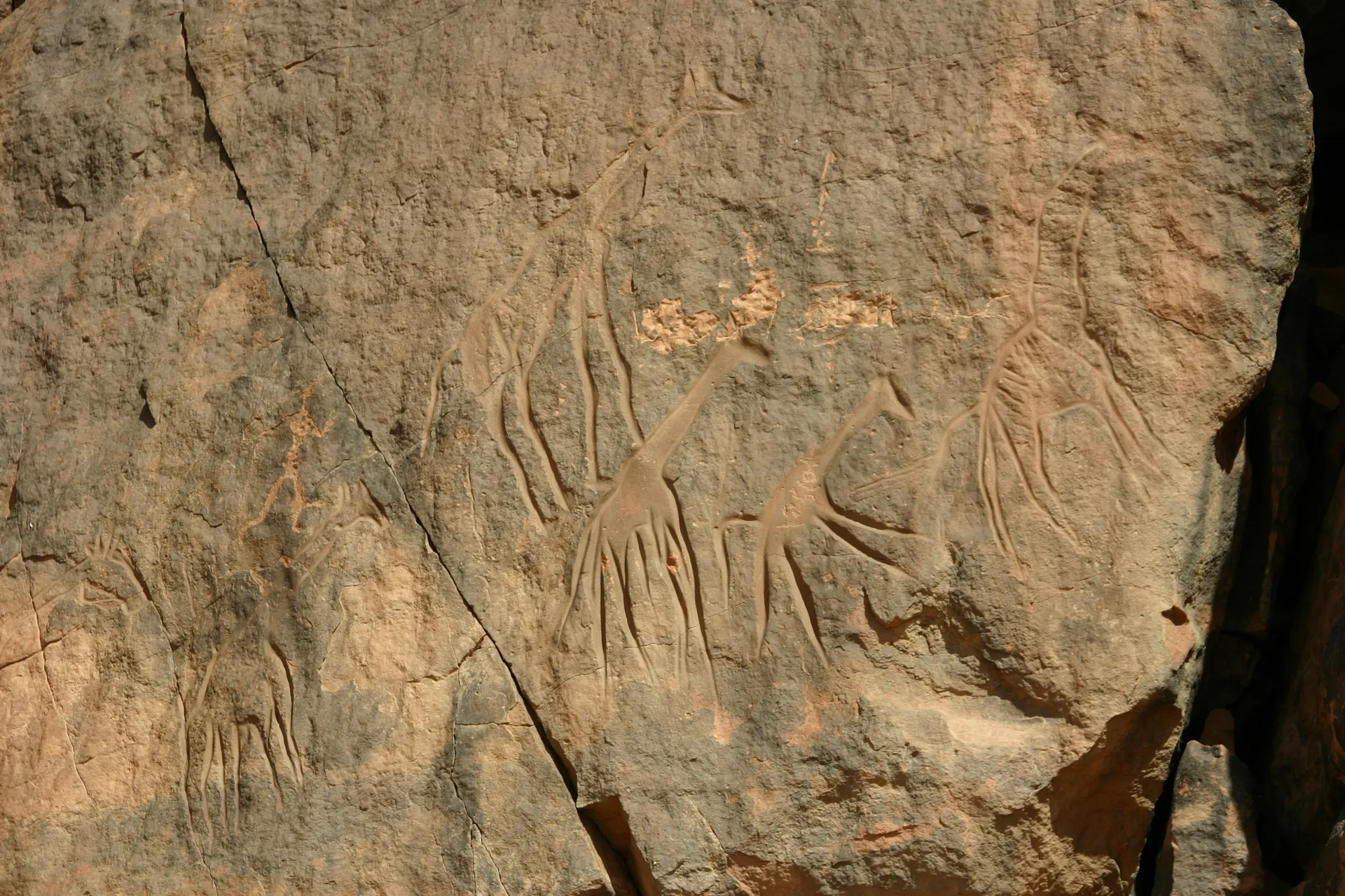 Rotstekeningen van giraffen [Wadi Mathendous]