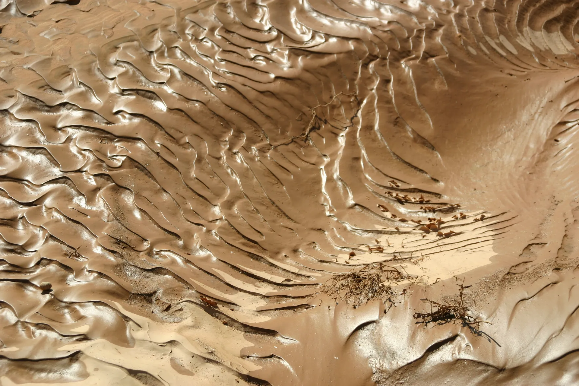 Opgedroogd zand in chocoladekleuren [noordelijke rand Murzuq zandzee]