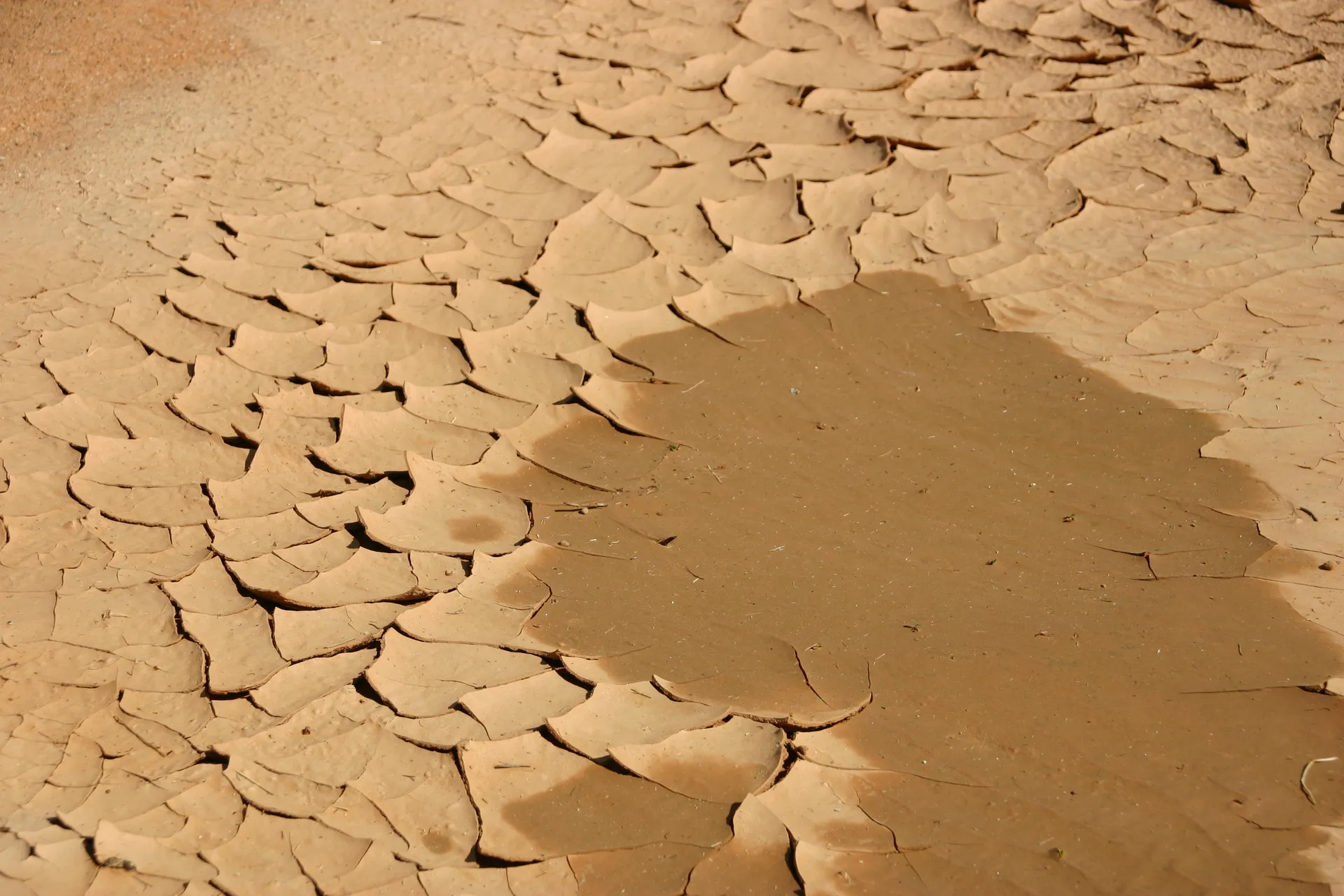 Chips van zon-doorbakken Saharazand [noordelijke rand Murzuq zandzee]