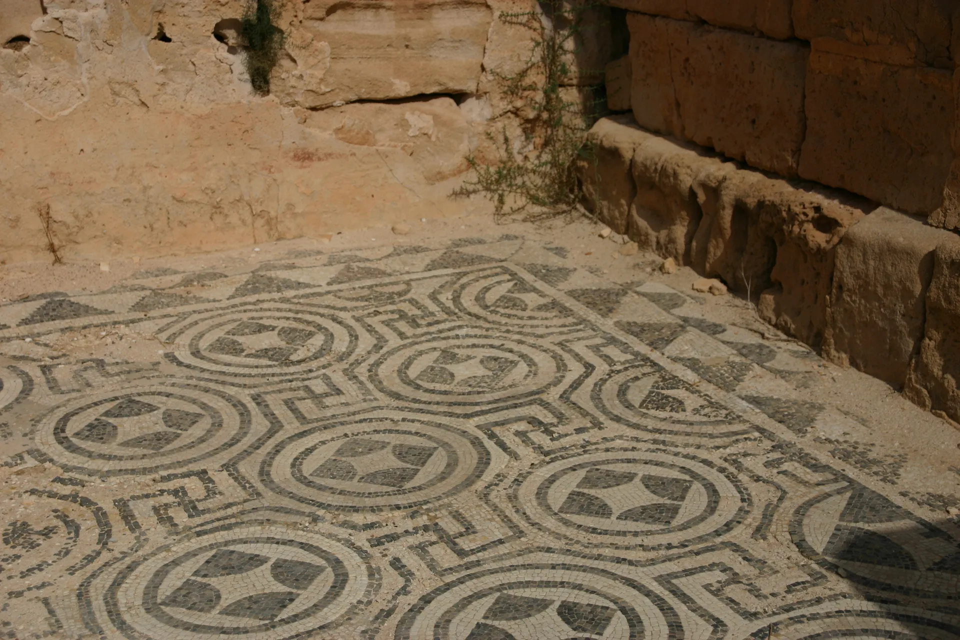 Vloermozaïek [Sabratha]
