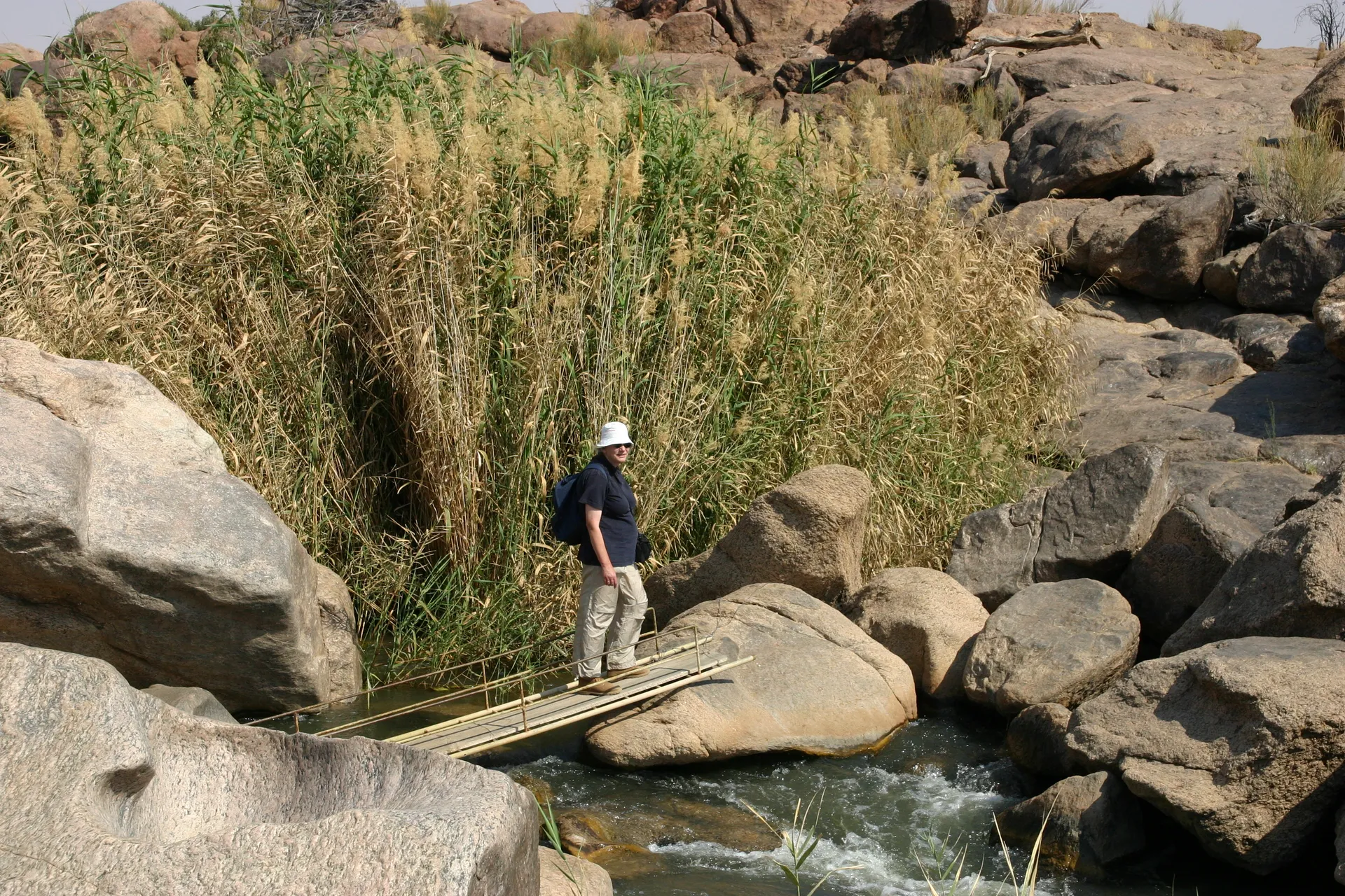 De wandeling voert over zijstroompjes van de rivier en langs rietpluimen [Augrabies park]
