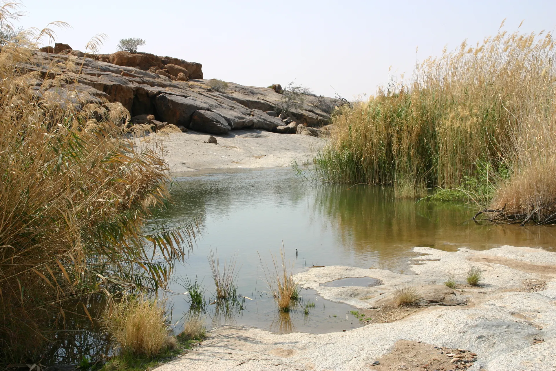 Stilleven met water, riet en stenen [Augrabies park]