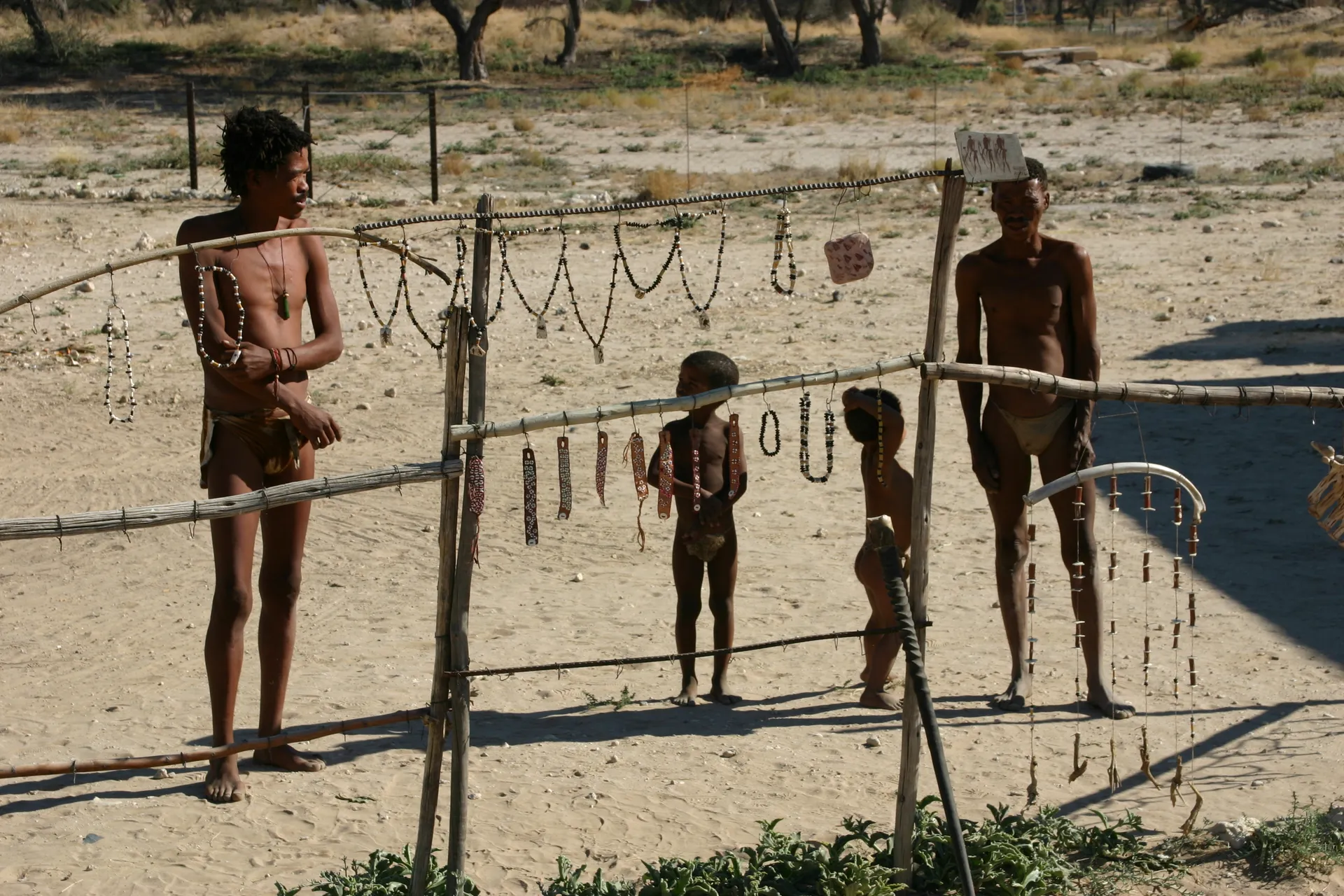 San of bosjesmannen [noordelijk deel Z-Afrika]