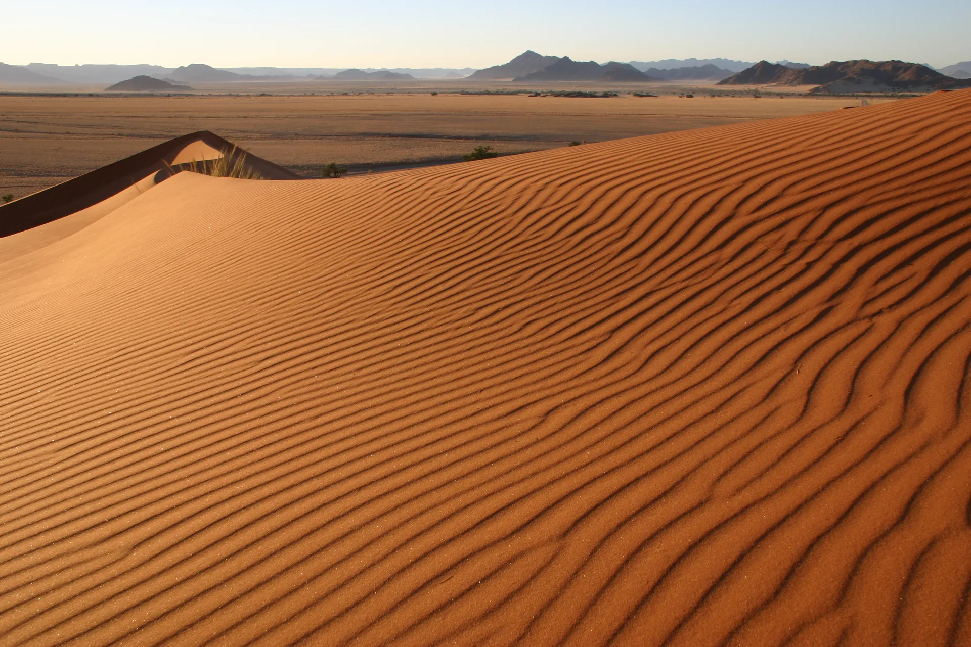 Ribbels in het rode zand [nabij Sesriem]