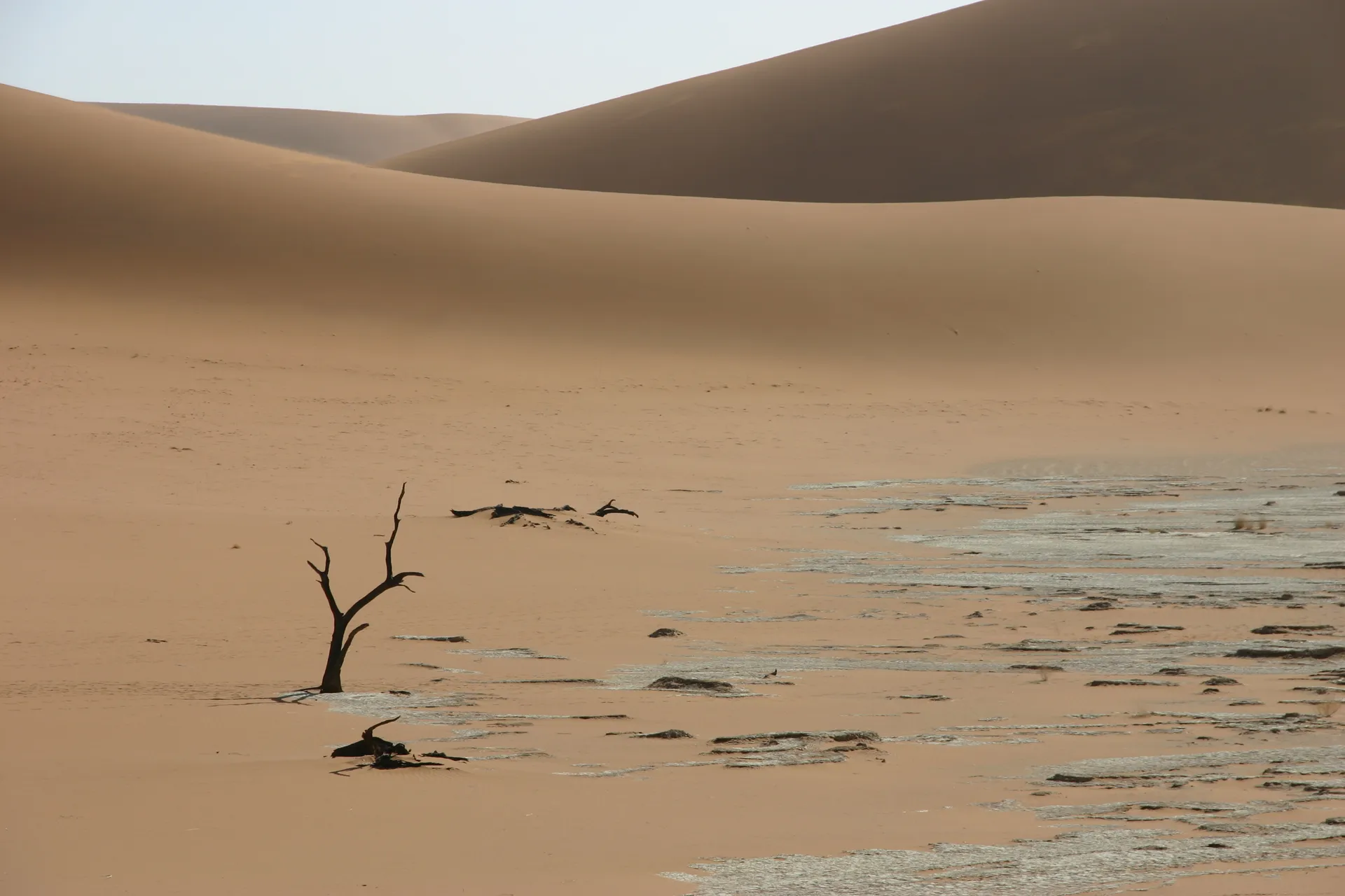 Dode vlei [bij Sesriem-Sossusvlei, Namibië]