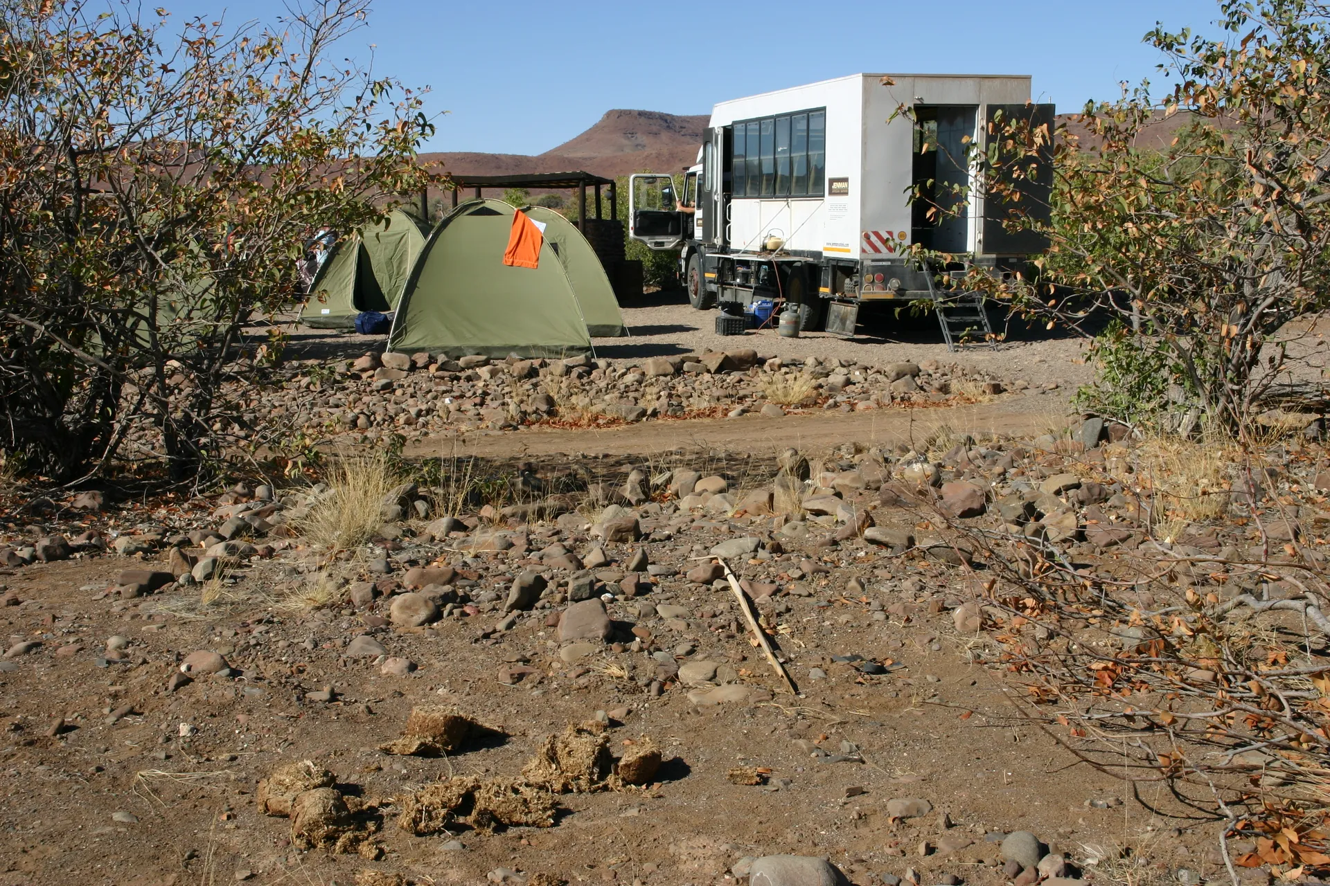 Verse olifantenmest op de camping van Palmwag