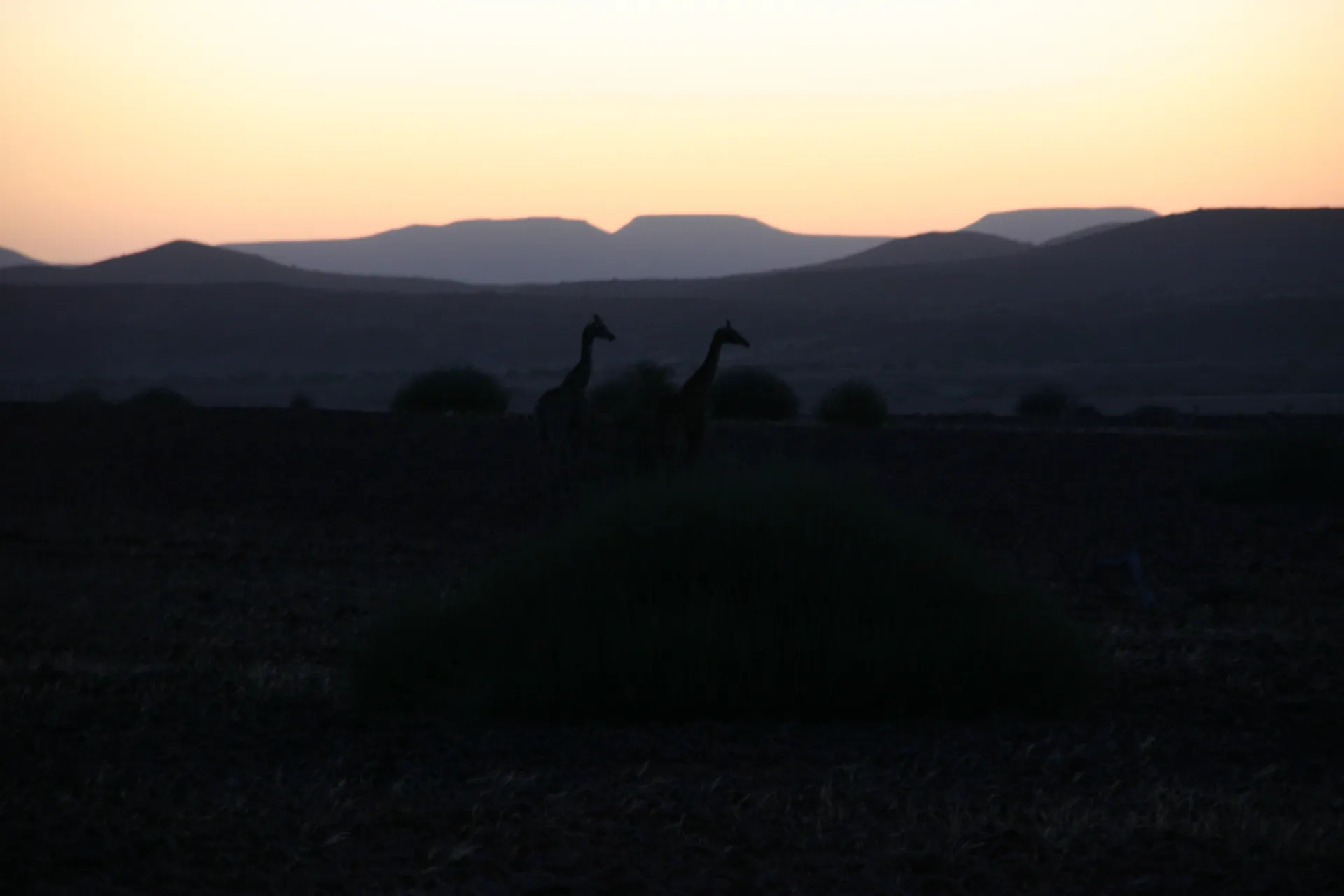 De avond valt over het landschap van Palmwag