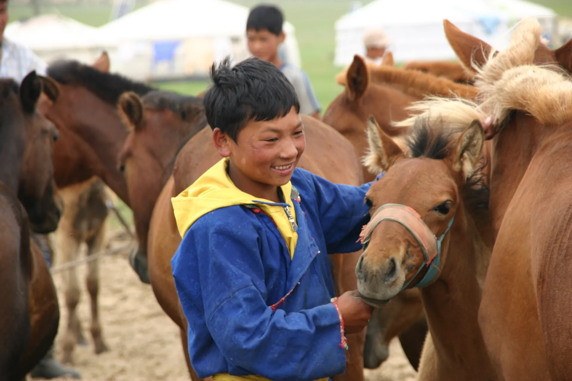 Vrolijke drukte bij het melken van de paarden [omgeving Khogno Khan]