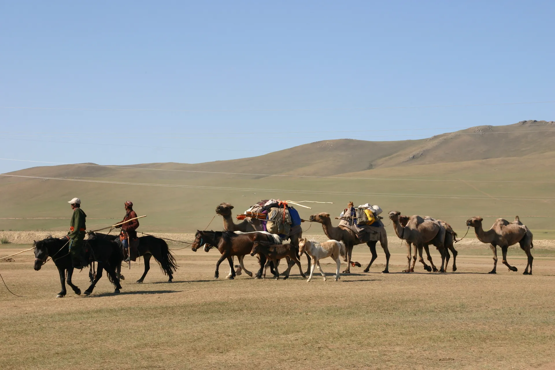 Karavaan van een verhuizende nomadische familie [prov. Arkhangai]