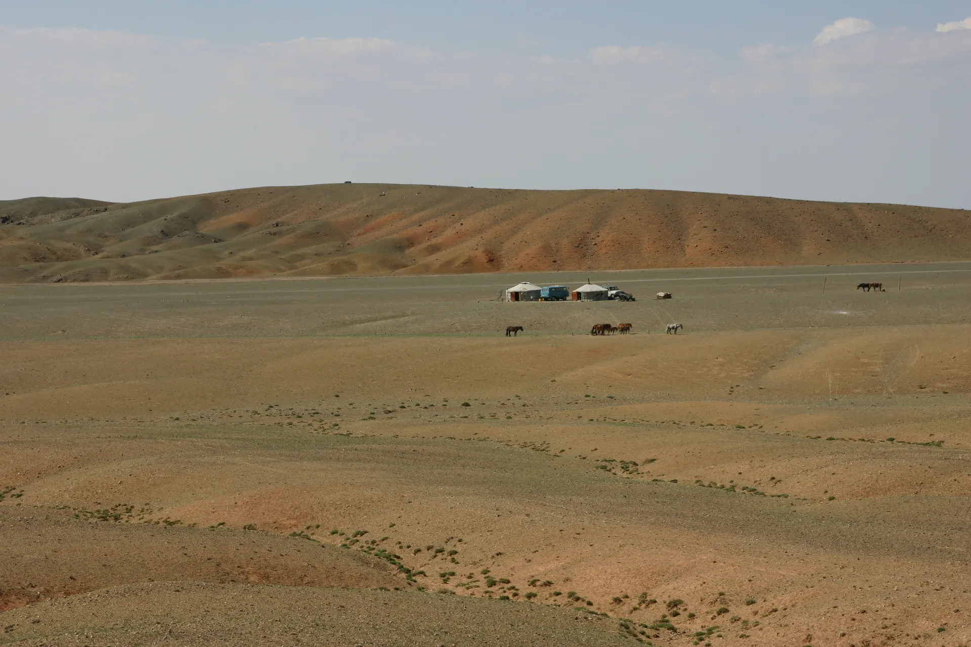 Ook in het droge Gobi-gebied kunnen nomadische families nog een bestaan vinden
