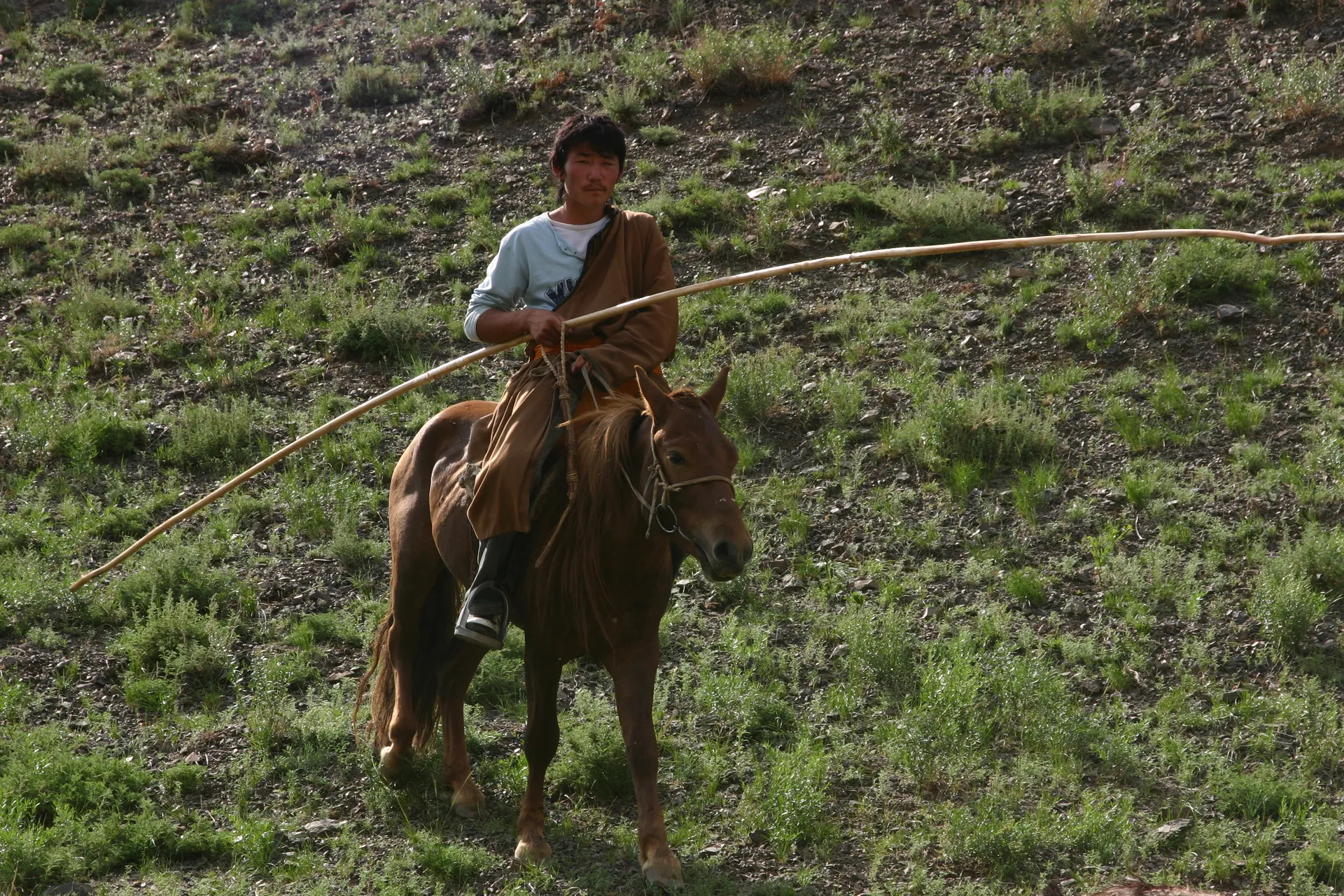 Het traditionele hoeden van een kudde vee, te paard en met een gebogen stok [Yolyn Am, Gobi]